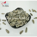 Cheap Sunflower Seeds China Raw Seeds